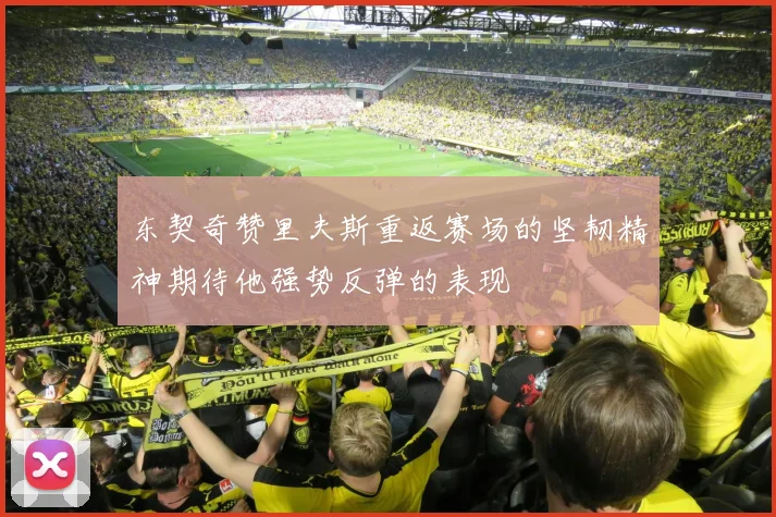 东契奇赞里夫斯重返赛场的坚韧精神期待他强势反弹的表现