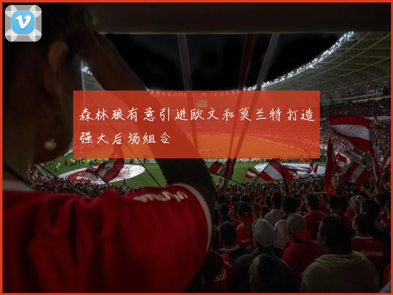 森林狼有意引进欧文和莫兰特打造强大后场组合